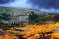 联合梯田乡村旅游简介 联合梯田乡村旅游简介